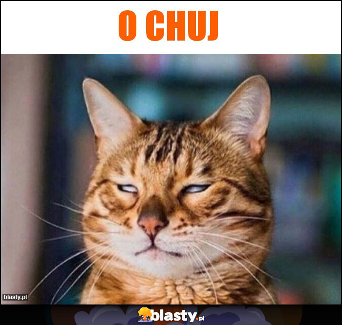 O chuj