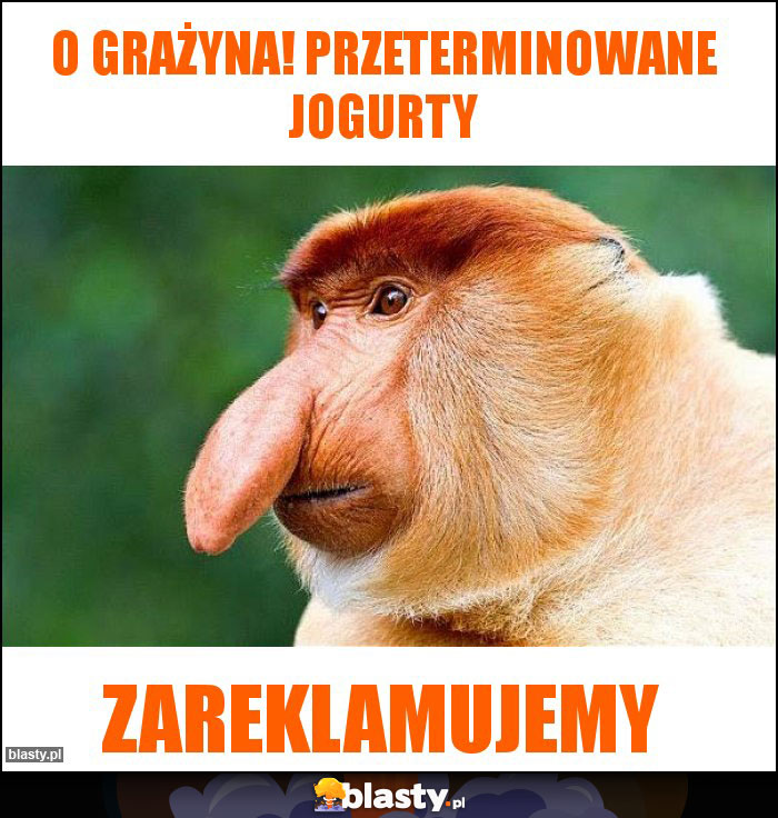 O Grażyna! Przeterminowane jogurty