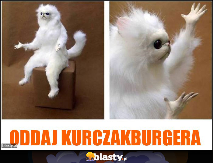 Oddaj kurczakburgera