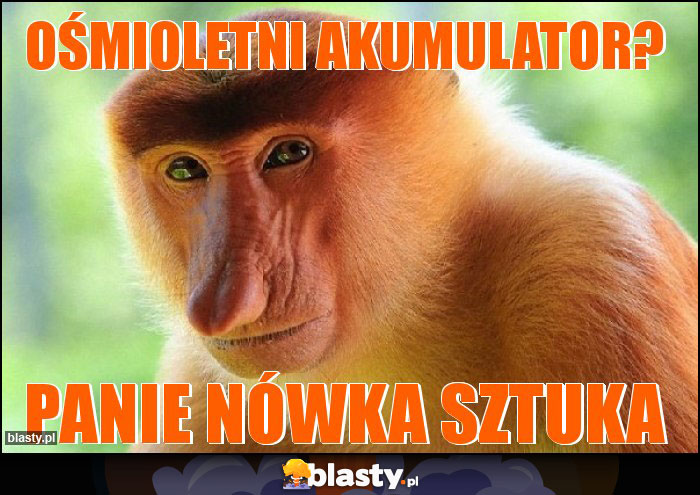 Ośmioletni akumulator?