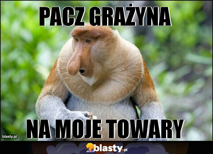 PACZ GRAŻYNA