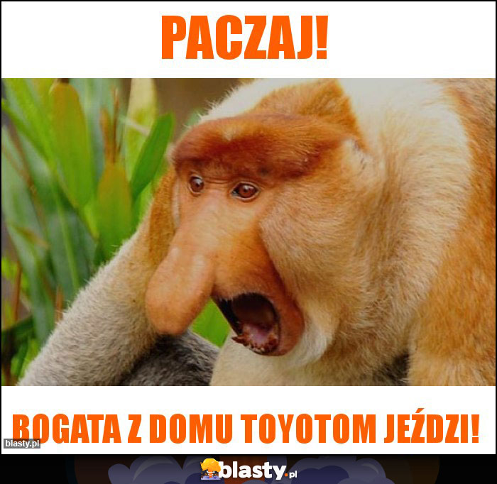 PACZAJ!