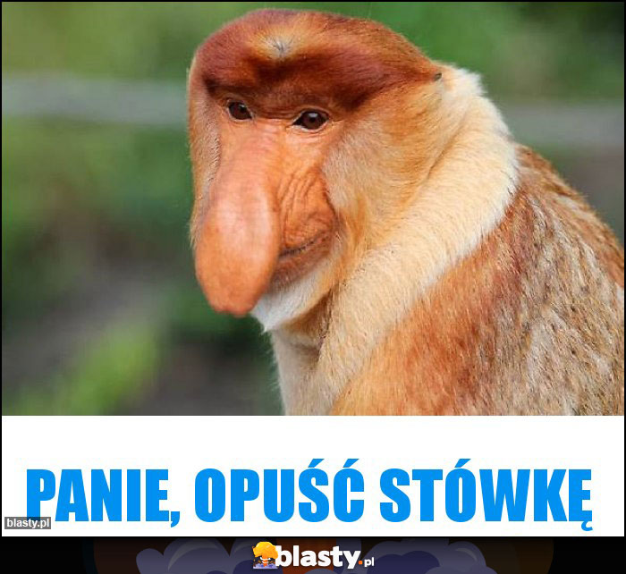 Panie, opuść stówkę