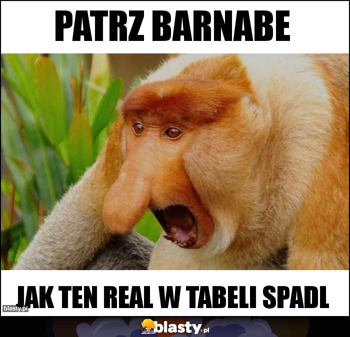 Patrz Barnabe