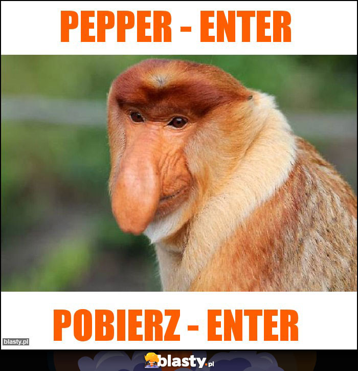 pepper - enter