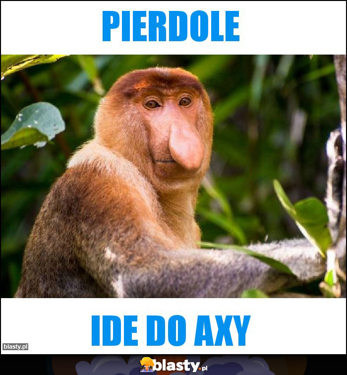 Pierdole