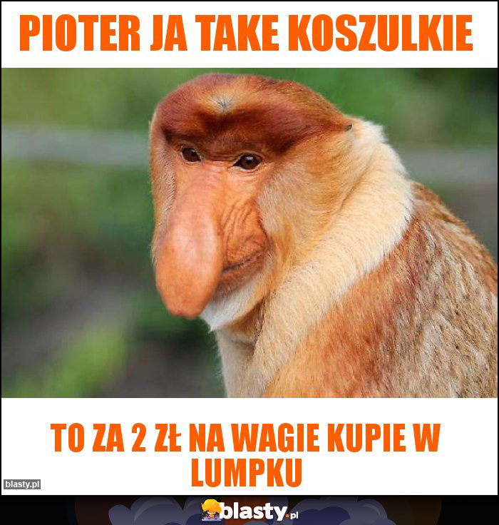 Pioter ja take koszulkie