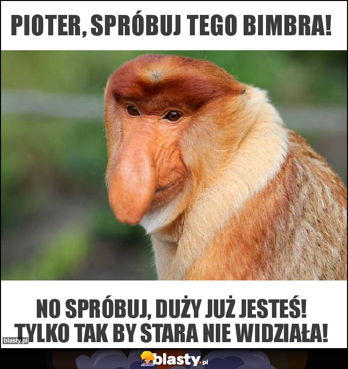 Pioter, spróbuj tego bimbra!