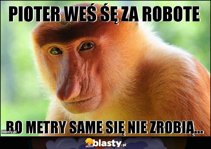 Pioter weś śę za robote