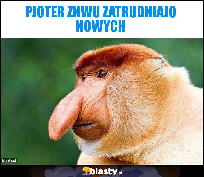 Pjoter Znwu zatrudniajo nowych