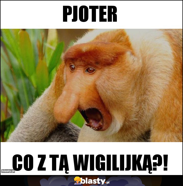 PJOTER