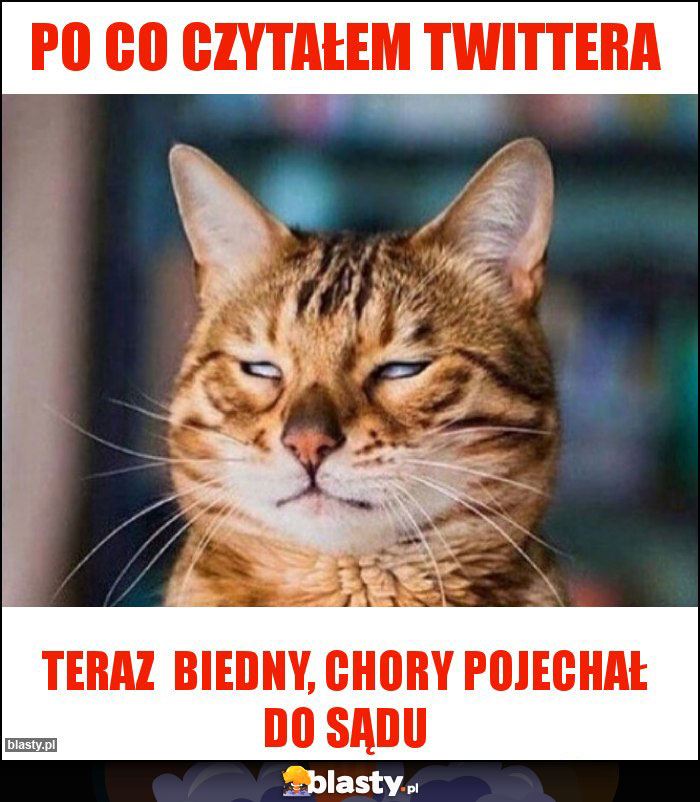 Po co czytałem twittera