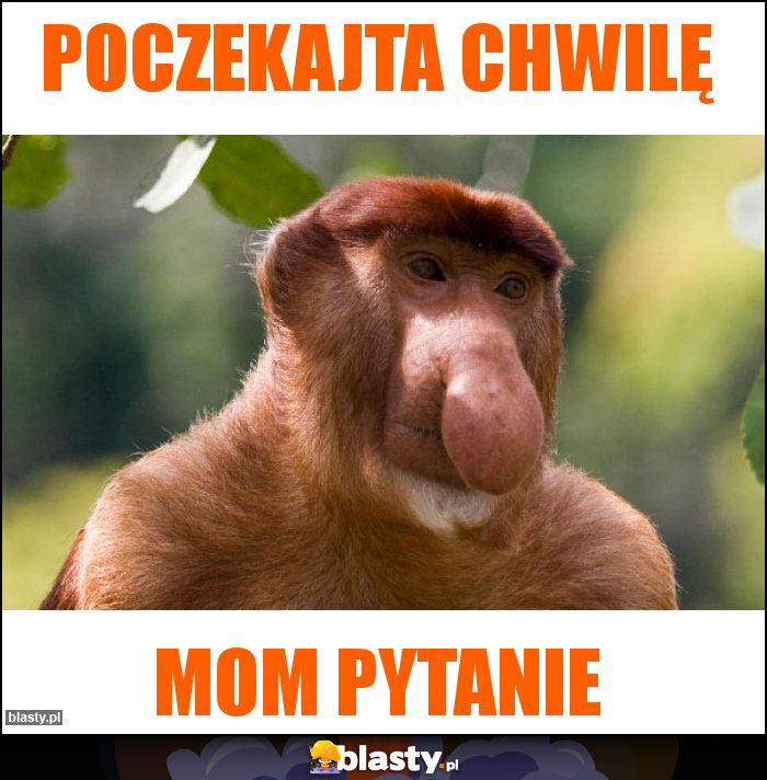 Poczekajta chwilę