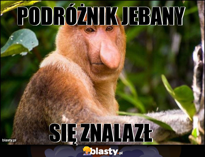 PODRÓŻNIK JEBANY