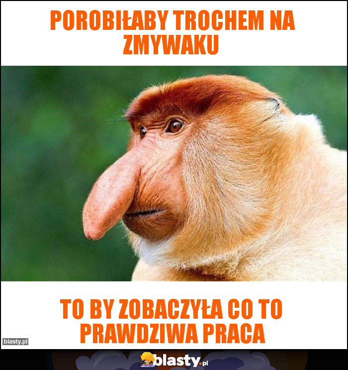 porobiłaby trochem na zmywaku