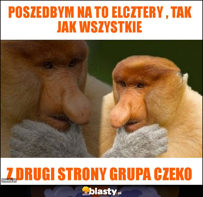 Poszedbym na to elcztery , tak jak wszystkie