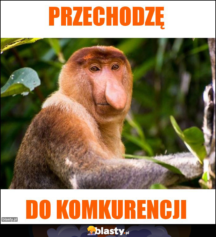 przechodzę