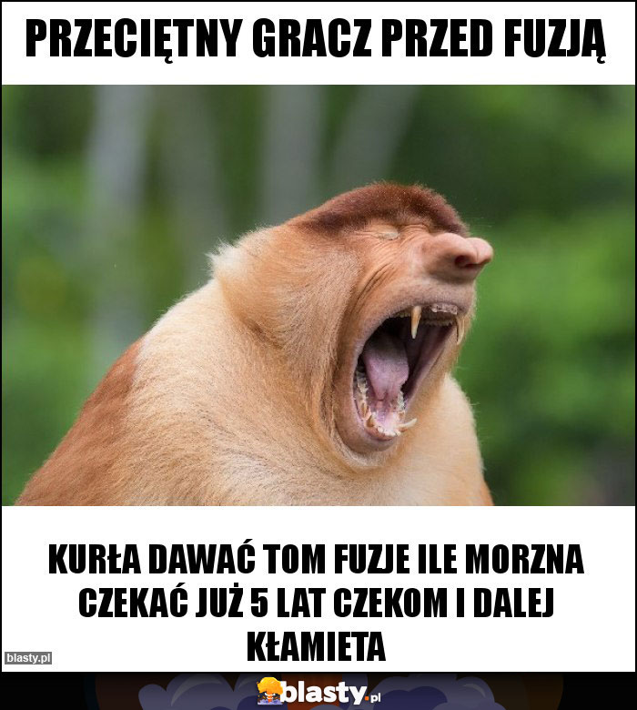 Przeciętny gracz przed fuzją