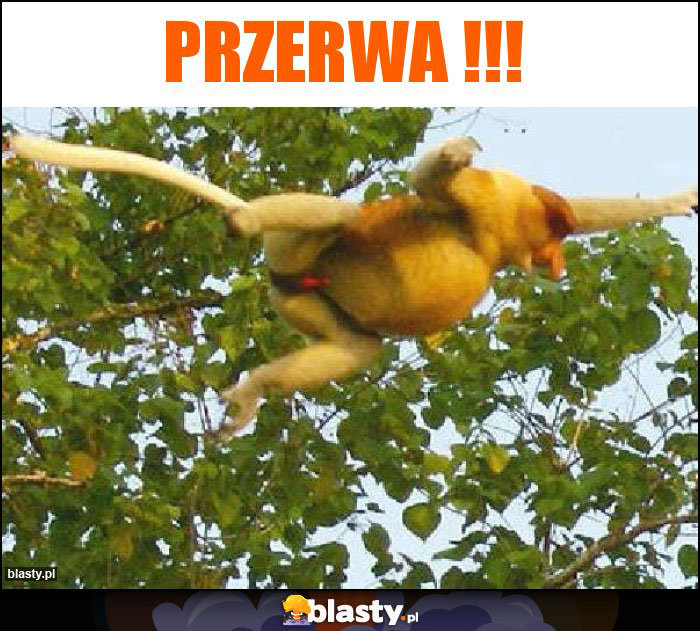 Przerwa !!!