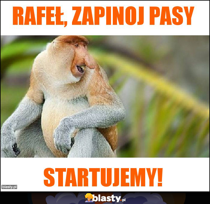 Rafeł, zapinoj pasy