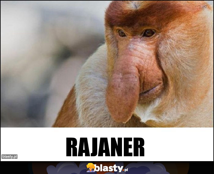 Rajaner