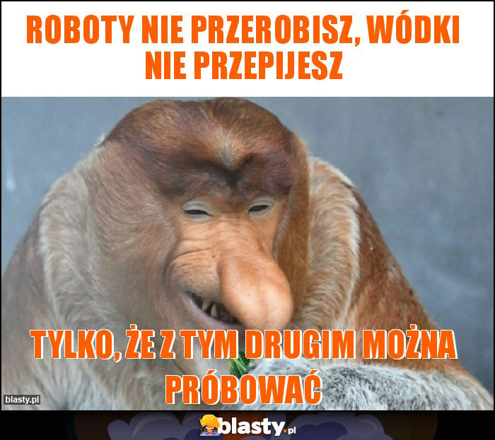 Roboty nie przerobisz, wódki nie przepijesz