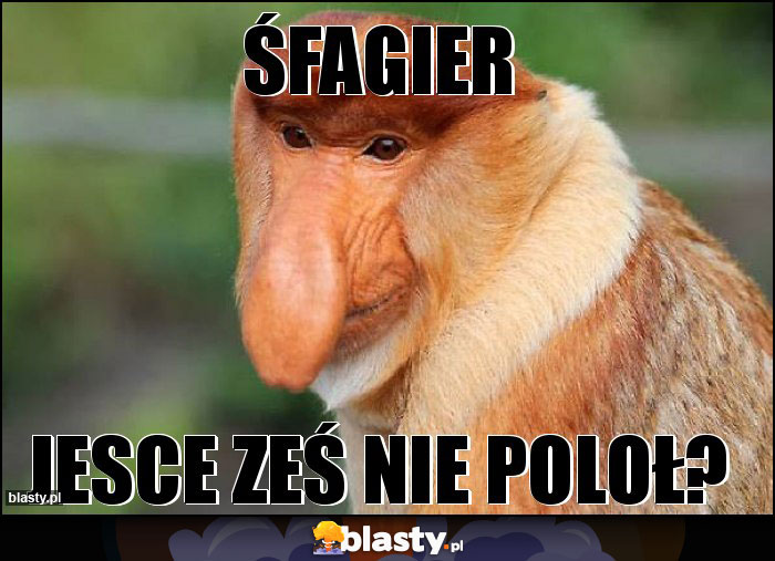 Śfagier