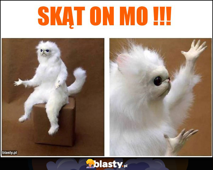 SKĄT ON MO !!!