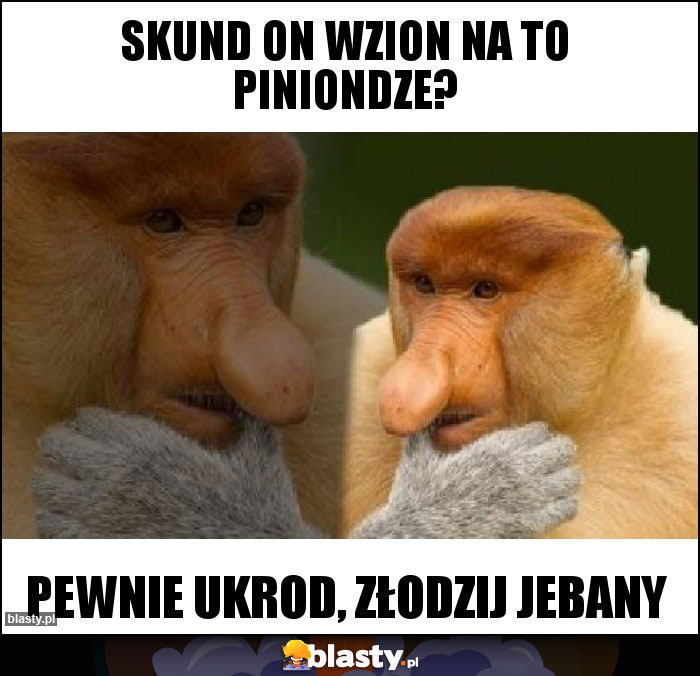 Skund on wzion na to piniondze?