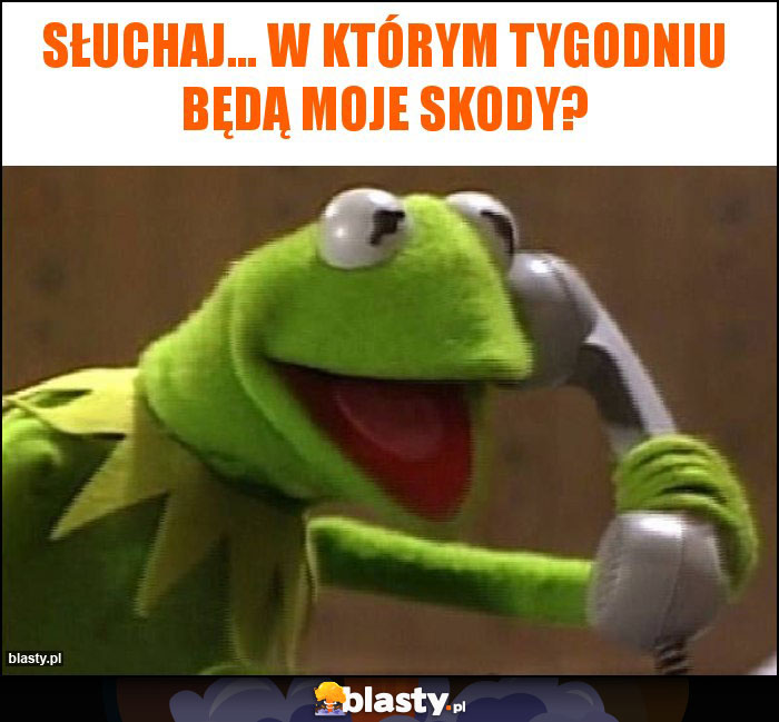 Słuchaj... w którym tygodniu będą moje skody?