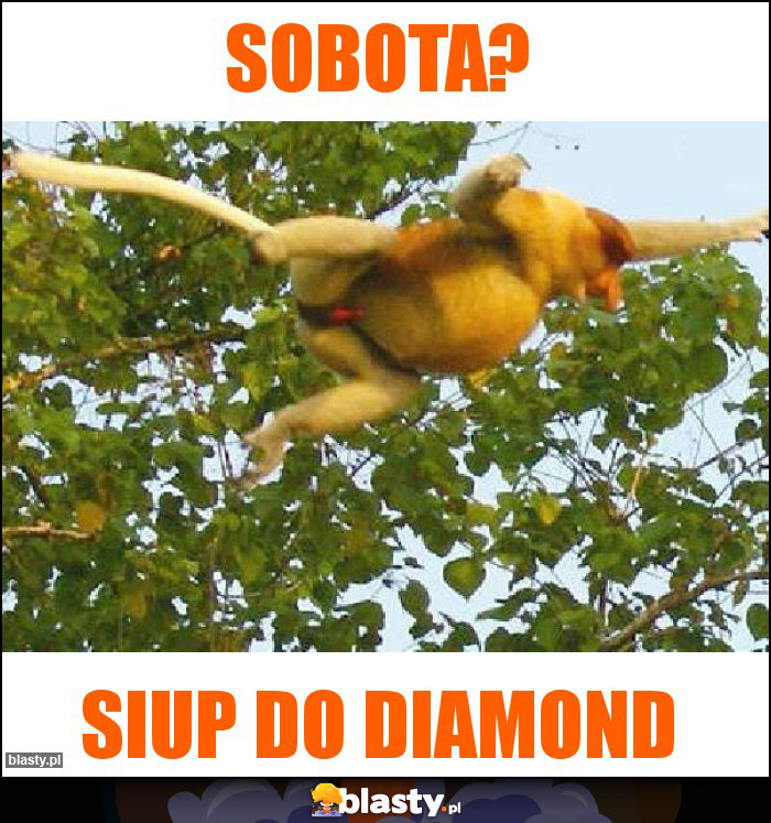 Sobota?