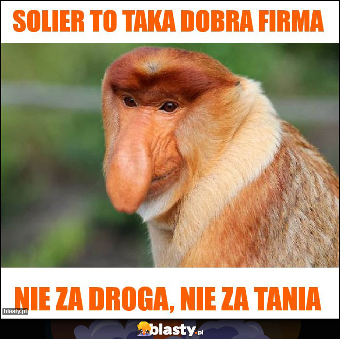 Solier to taka dobra firma