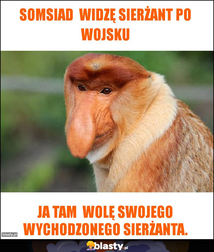 Somsiad  widzę sierżant po wojsku