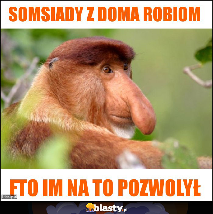 Somsiady z doma robiom