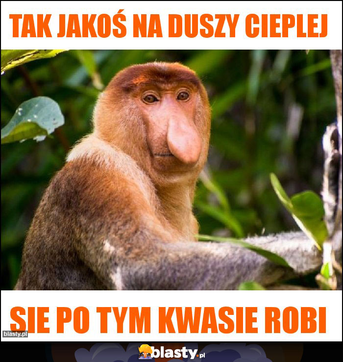 Tak jakoś na duszy cieplej