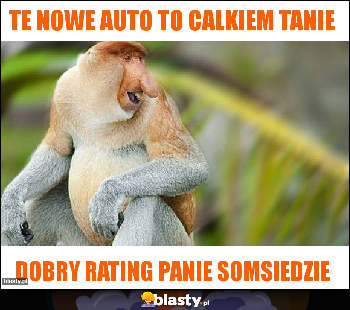 te nowe auto to calkiem tanie