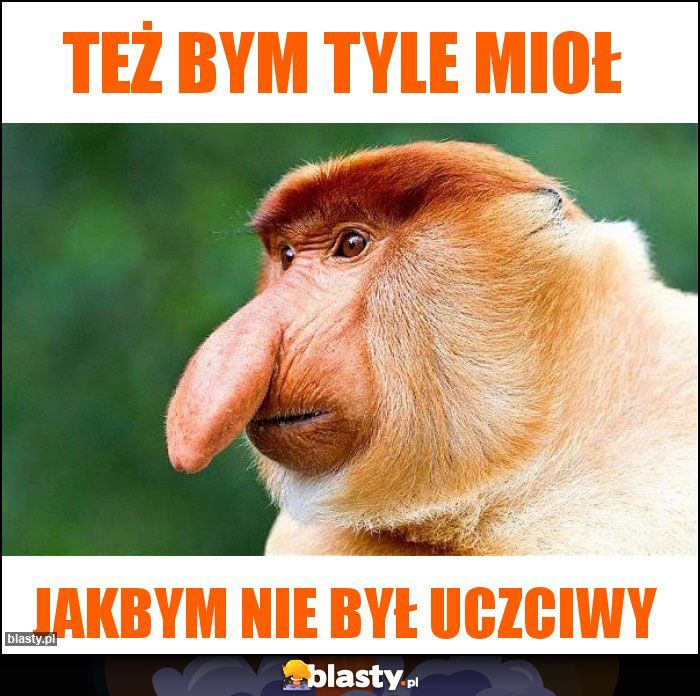 też bym tyle mioł