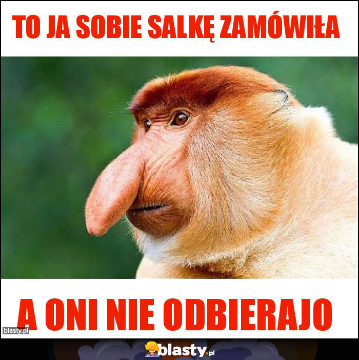 To ja sobie salkę zamówiła