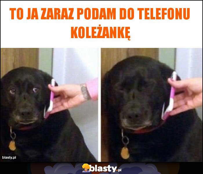 TO JA ZARAZ PODAM DO TELEFONU KOLEŻANKĘ