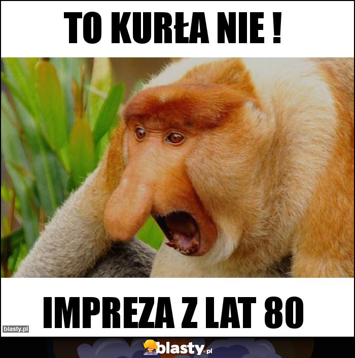 to kurła nie !