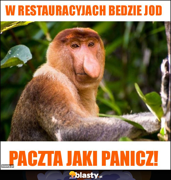 W restauracyjach bedzie jod