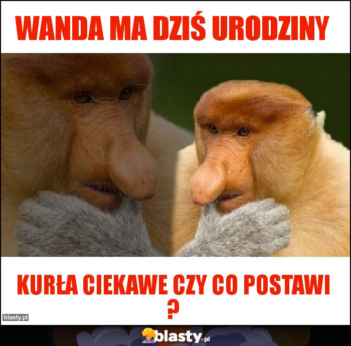 Wanda ma dziś urodziny