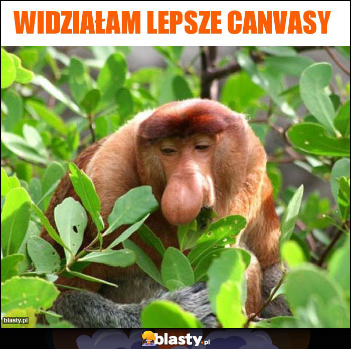 Widziałam lepsze Canvasy