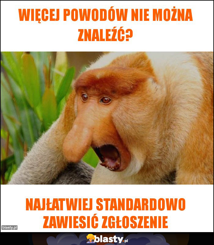 więcej powodów nie można znaleźć?