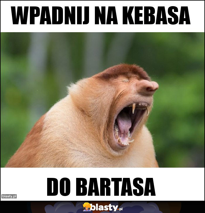 Wpadnij na kebasa