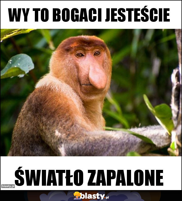 Wy to bogaci jesteście