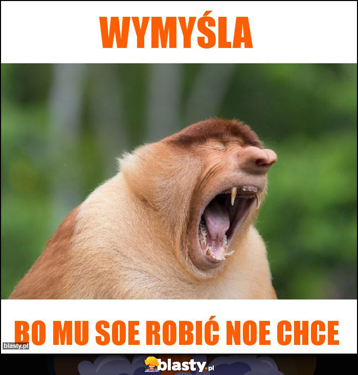 Wymyśla