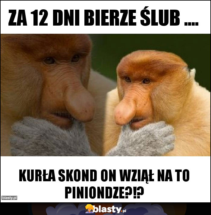 Za 12 dni bierze ślub ....