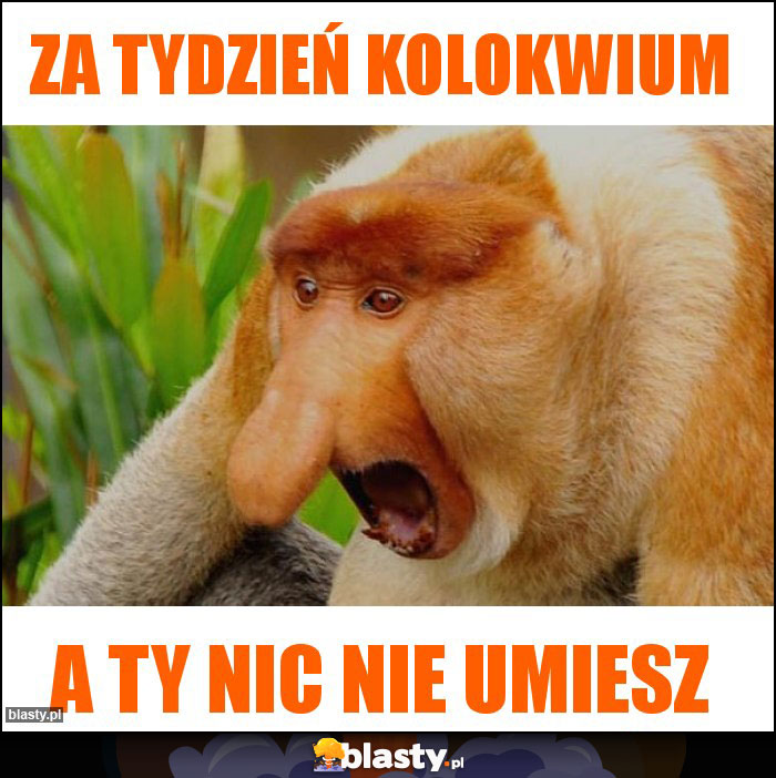 Za tydzień kolokwium