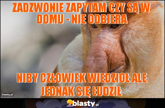 Zadzwonie zapytam czy są w domu - nie odbiera